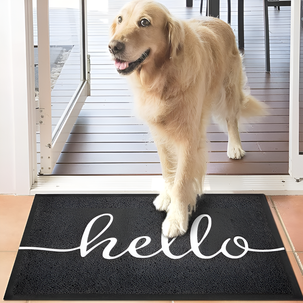 Hello Luxe Door Mat – Stylish Absorbent Non-Slip Entryway Mat
