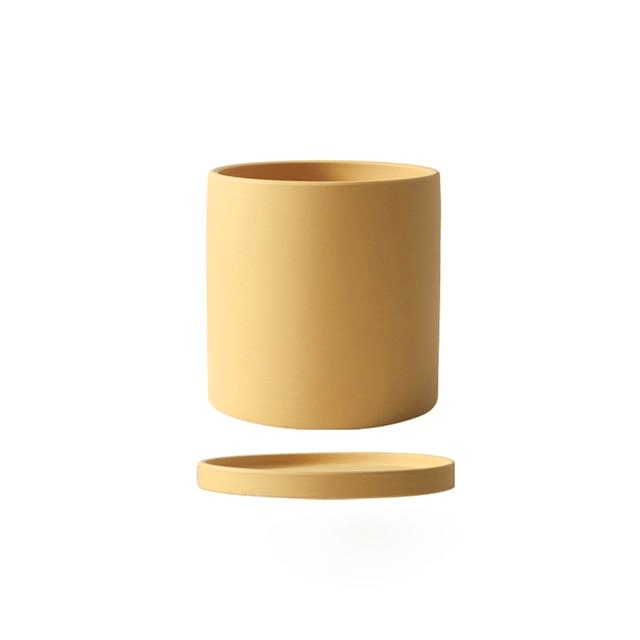 PLANTIVA Ceramic Plant Pot with Saucer – Elegant Indoor Planter