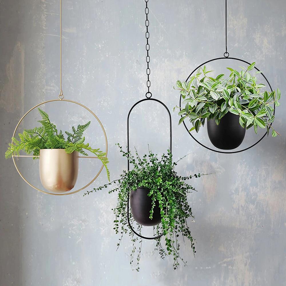 FloraFrame Hanging Planter – Modern Minimalist Iron Plant Holder