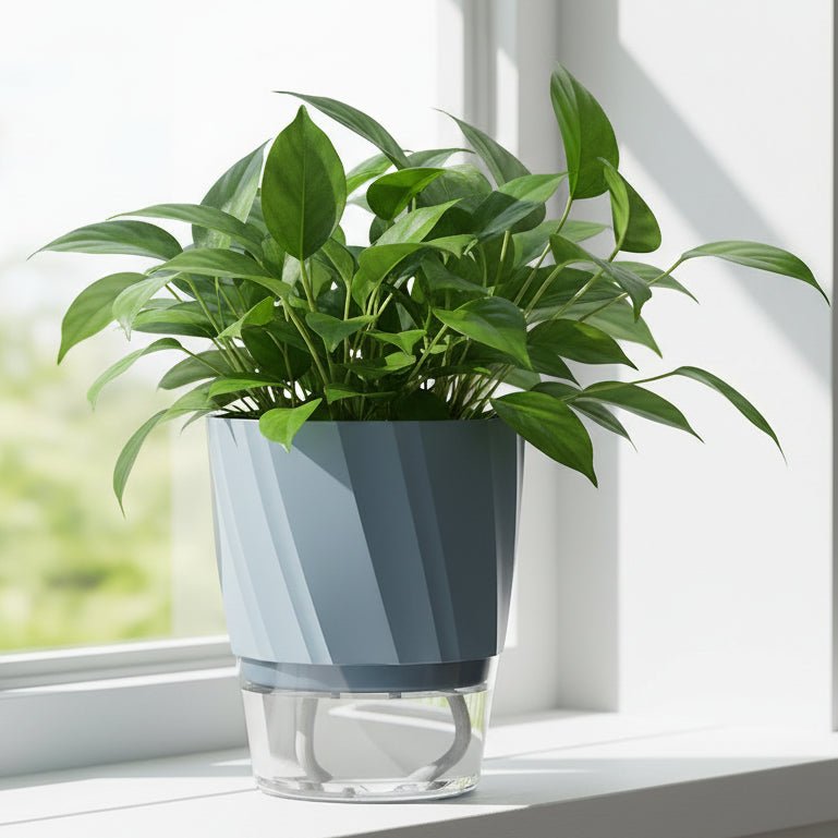 PLANTBASE Self-Watering Plant Pot – Clean Indoor Gardening Planter
