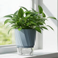 PLANTBASE Self-Watering Plant Pot – Clean Indoor Gardening Planter