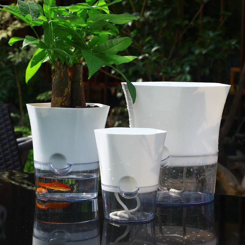 PLANTBASE Self-Watering Plant Pot – Clean Indoor Gardening Planter