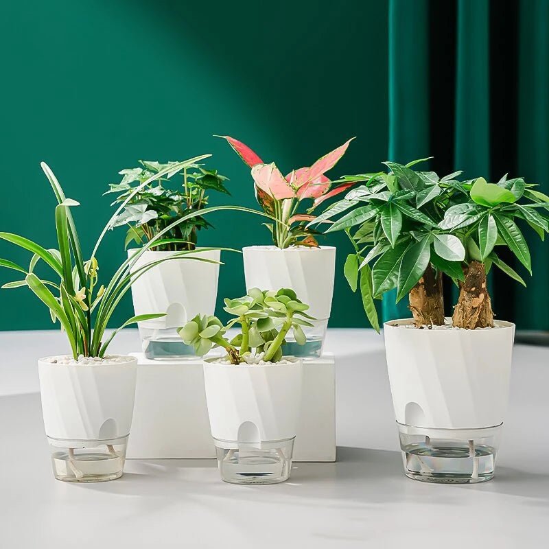PLANTBASE Self-Watering Plant Pot – Clean Indoor Gardening Planter