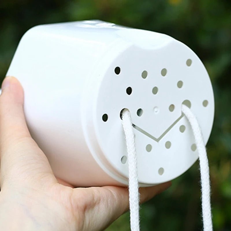 PLANTBASE Self-Watering Plant Pot – Clean Indoor Gardening Planter