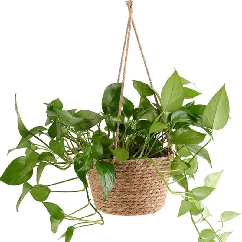 MACRAHANG Jute Hanging Planter – Stylish Indoor & Outdoor Plant Holder